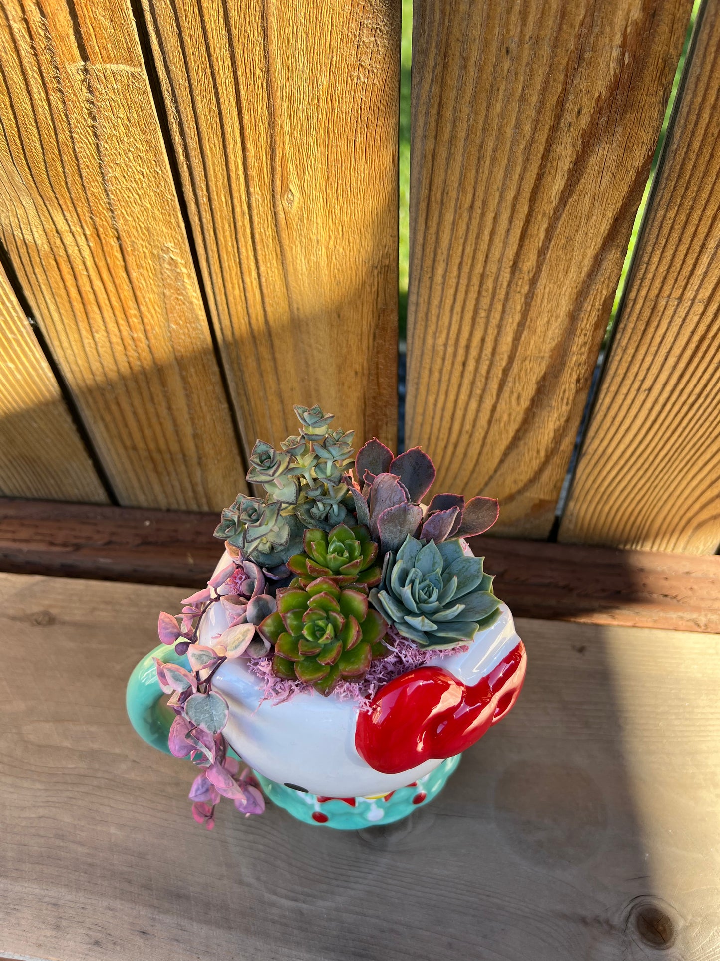 Hello Kitty arrangement