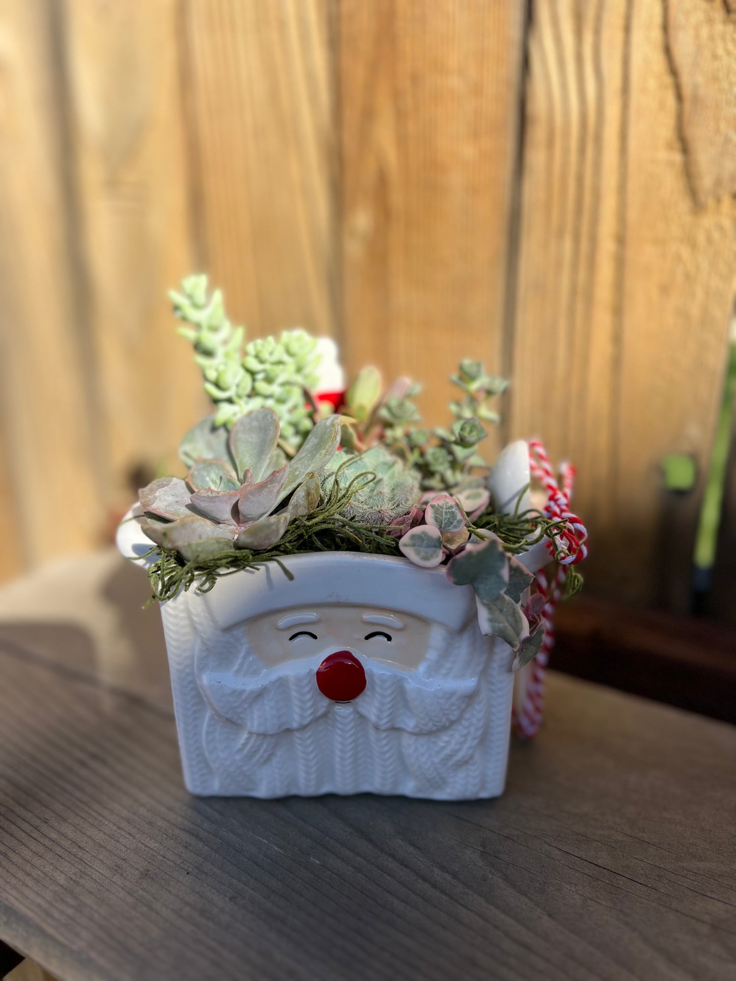 Santa