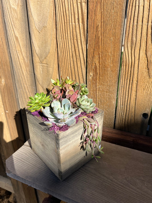 Wooden box arrangement