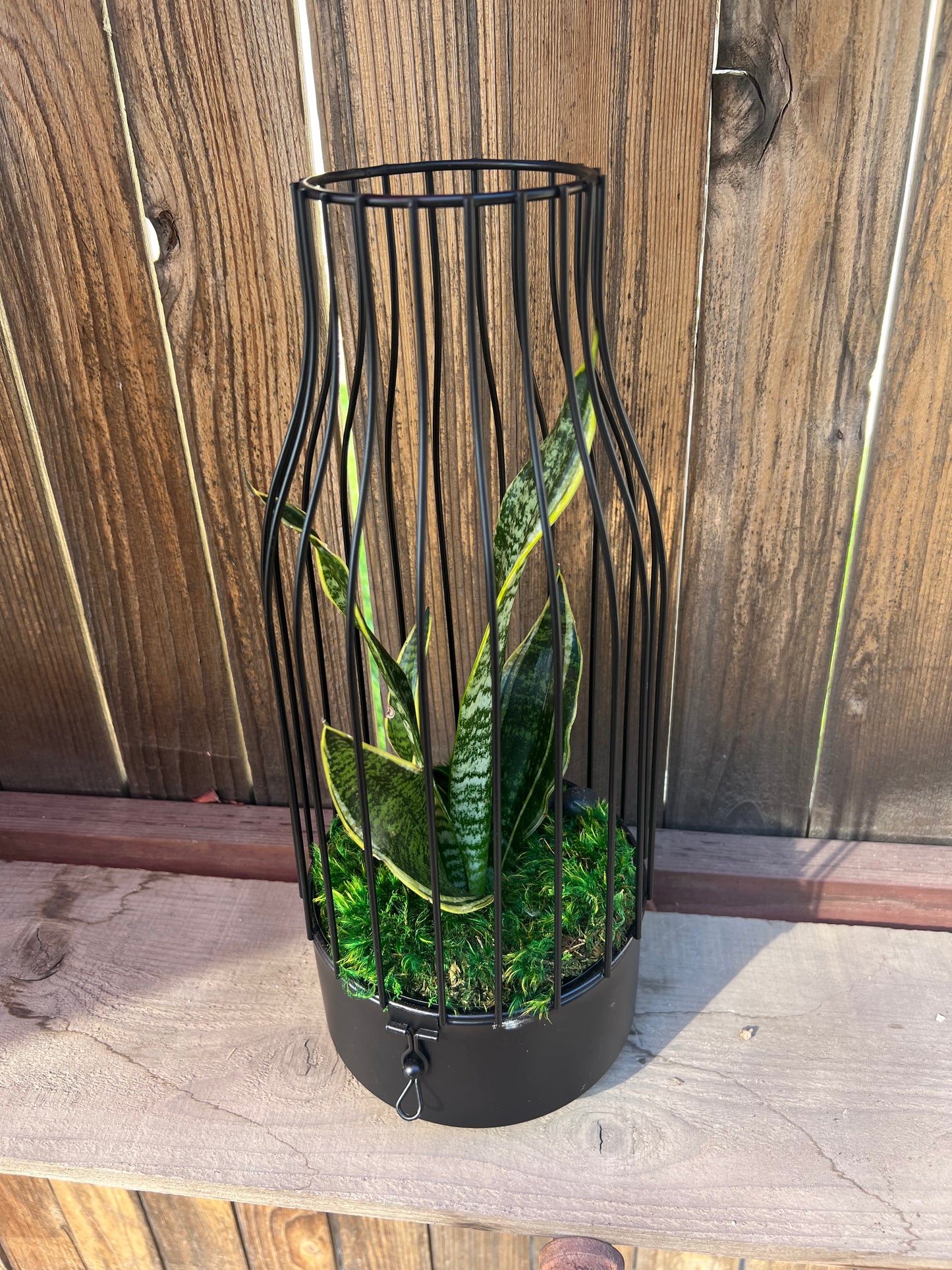 Urban Garden