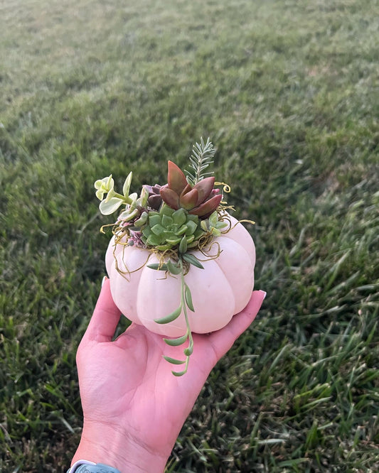 Pumpkin arrangements