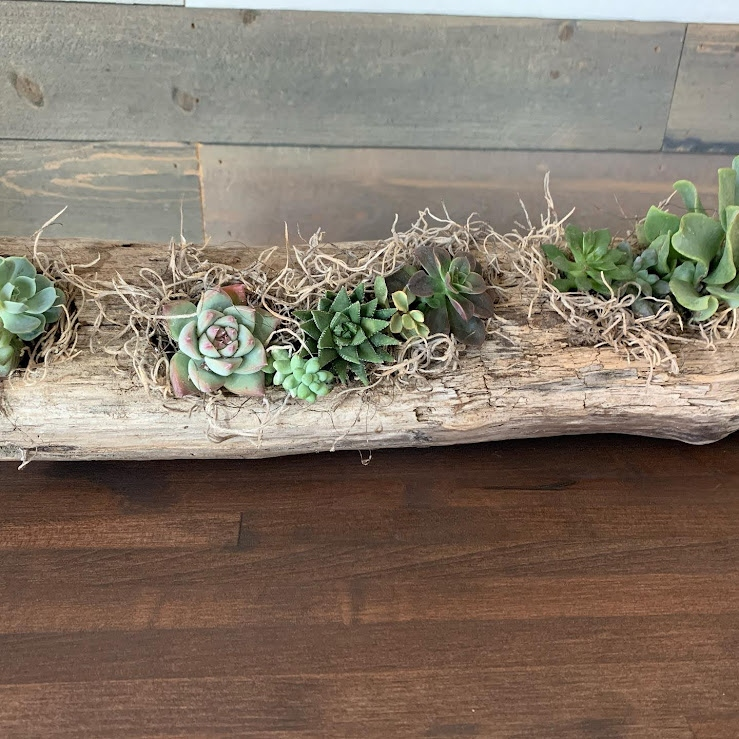 Driftwood Log Arrangement