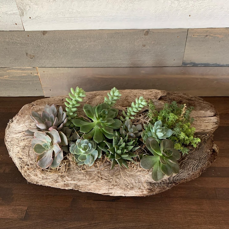 Driftwood Log Arrangement