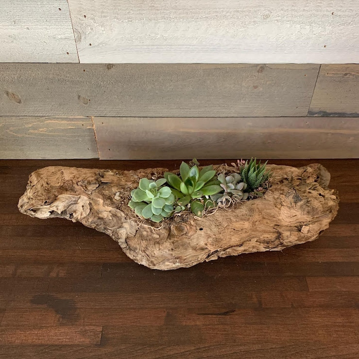 Driftwood Log Arrangement