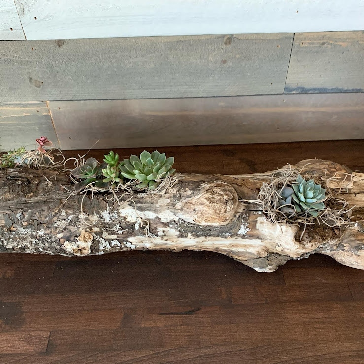 Driftwood Log Arrangement