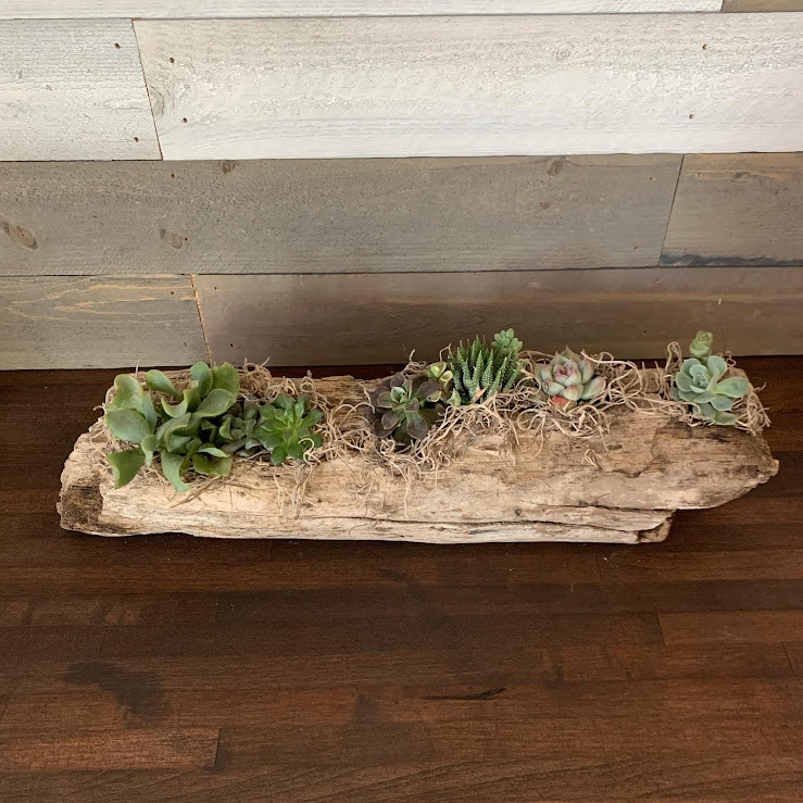 Driftwood Log Arrangement