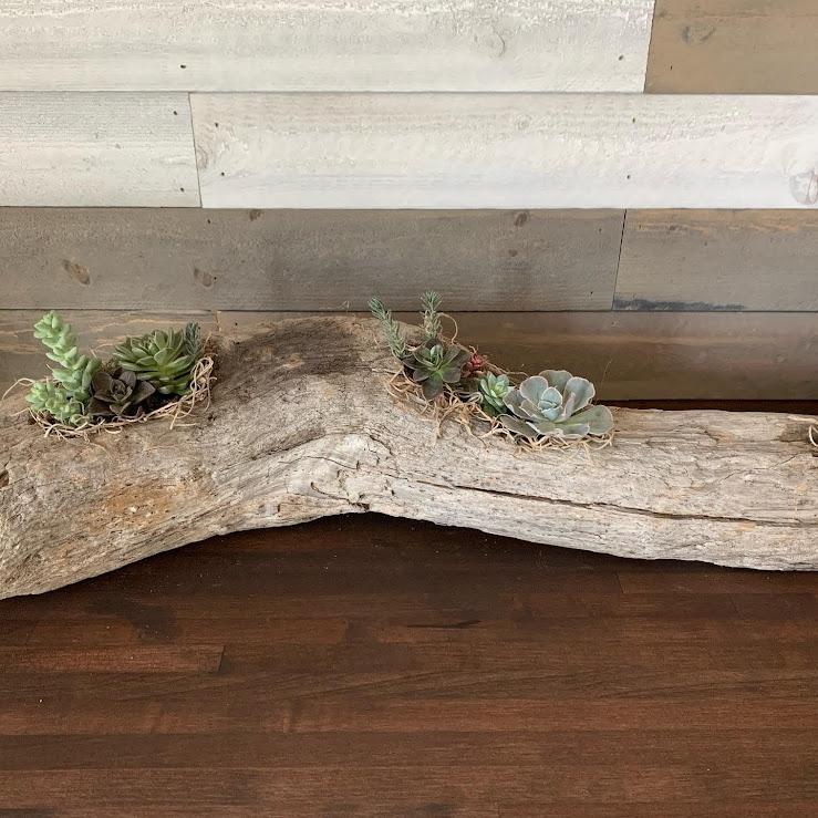 Driftwood Log Arrangement