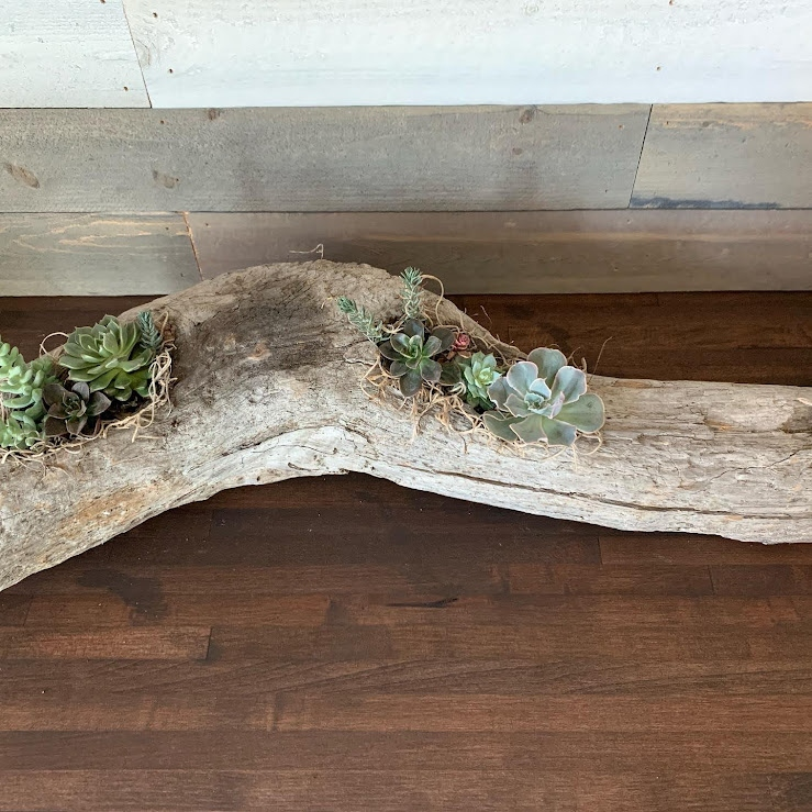Driftwood Log Arrangement