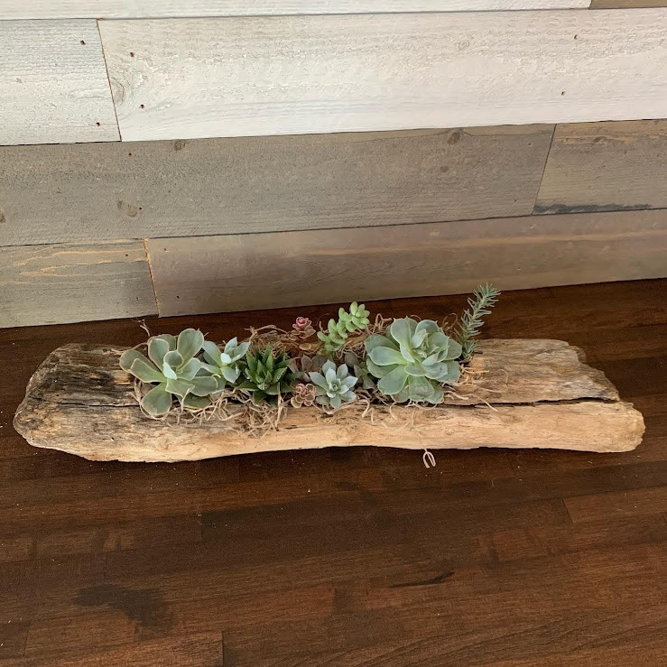Driftwood Log Arrangement