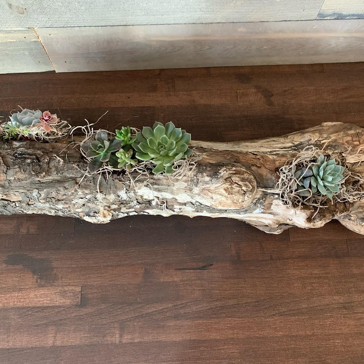Driftwood Log Arrangement