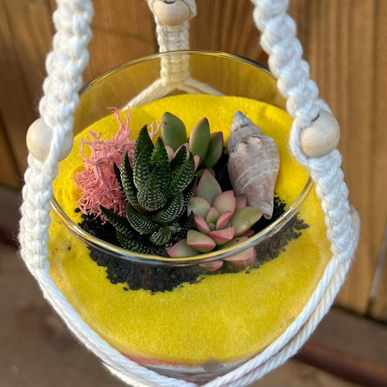 Hanging macrame terrarium