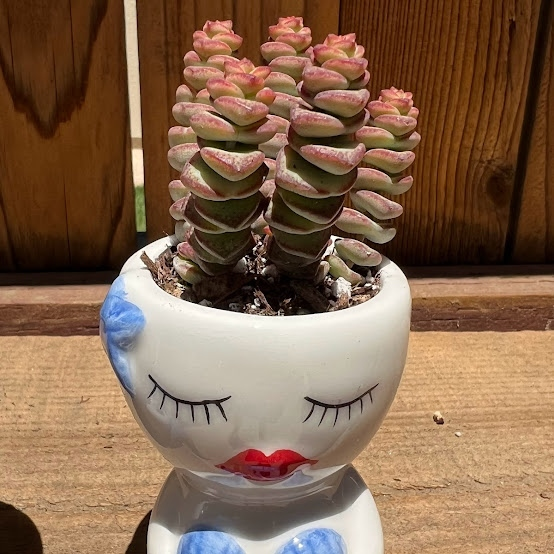 Mermaid arrangement
