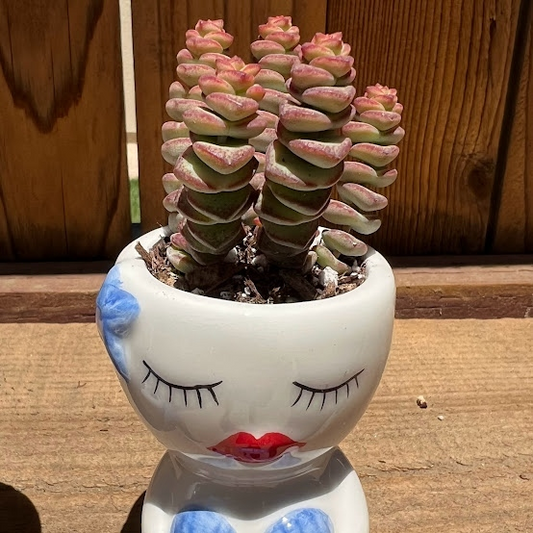 Mermaid arrangement