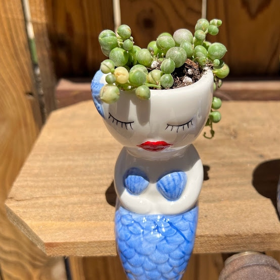 Mermaid arrangement