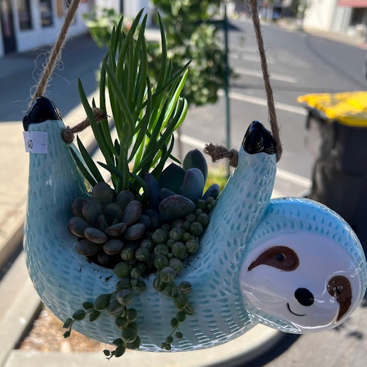 Sloth arrangment