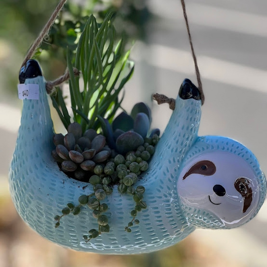 Sloth arrangment