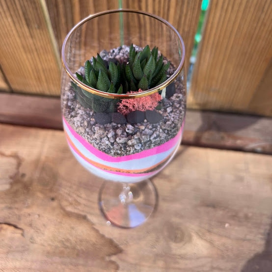 Wine glass terrarium